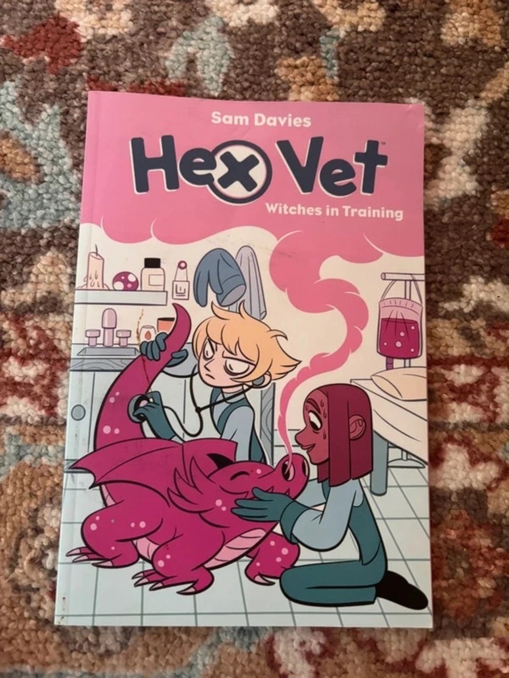 Hex Vet Witches in Training - Pink Kids Graphic Book by Sam Davies